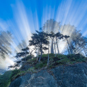 “To The Heavens”
