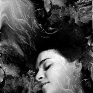 “The Fragrance”