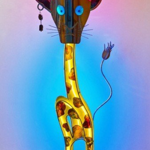 "Lion Giraffe"