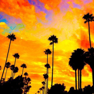 "A 90210 Sunset"