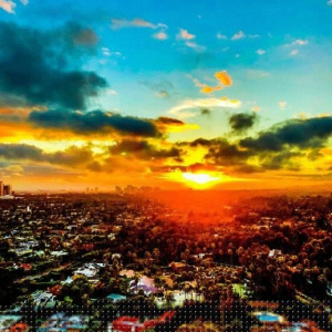 "Vibrant LA”