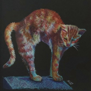 "Cat pose"