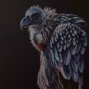 "Culture vulture"
