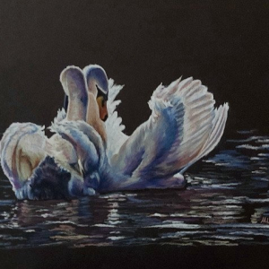 "Moonlight sonata"