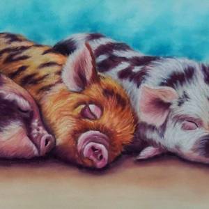 "Three little pigs"
