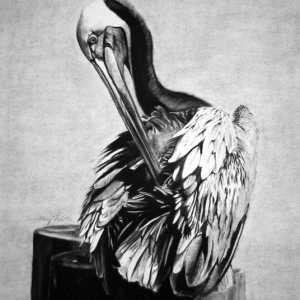 “Preening Time”