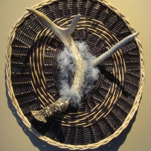 “Midnight Antler Shed #237/65”
