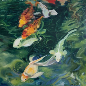 “Koi Fish Swimming Down Stream”