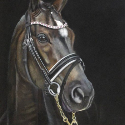 "Mr. Ed."