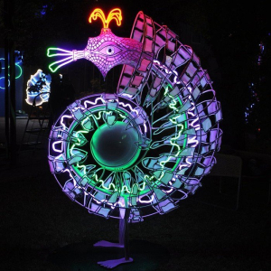"Nautilus"