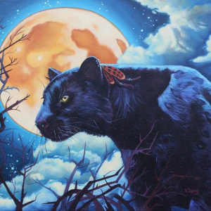 “Night watcher black panther”