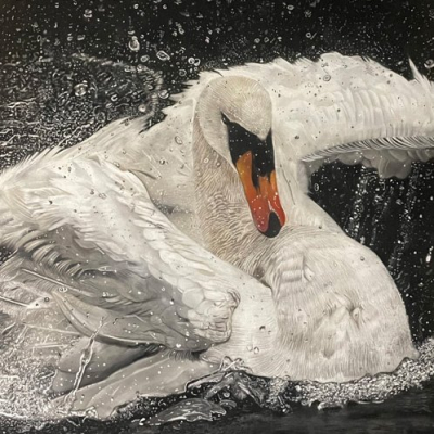 “Odette the Ballet Swan”