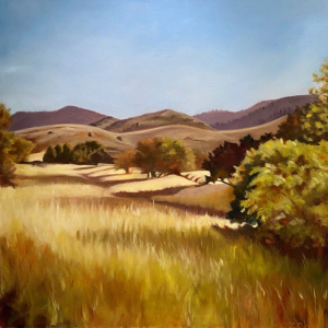 “Open Space - North Ranch”