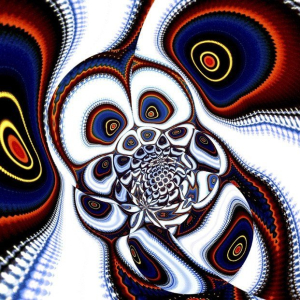"Owl"