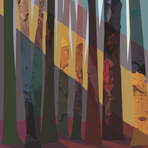 "Ancient Pines”
