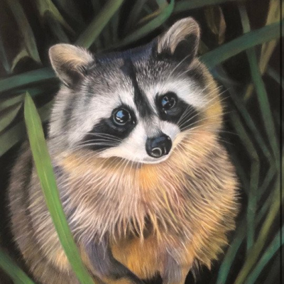 “Ricky the Raccoon”