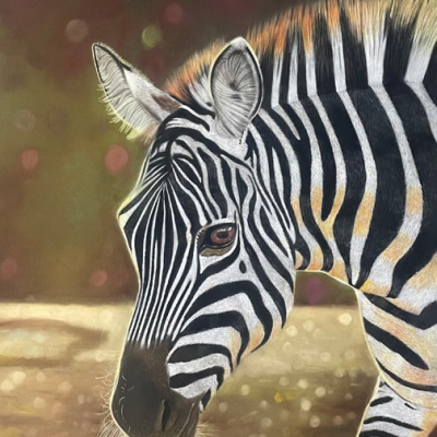 “Sandy the Zebra”