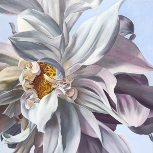 “Dinnerplate Dahlia”