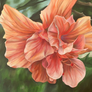 “Tangerine Dream”