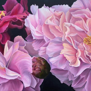 “Rhapsody”