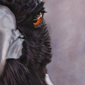 “Swoop”