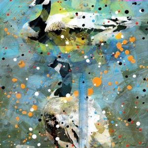 “Two Central Park Geese”