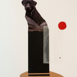 “Blending : Black Dog”