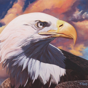 “Bald eagle”