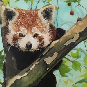 “Red panda”